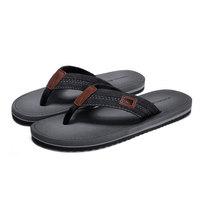 Cinza